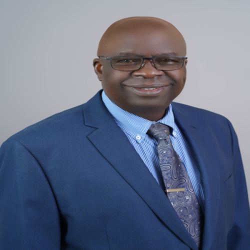 Professor Felix O. Akinladejo : Board Chairman